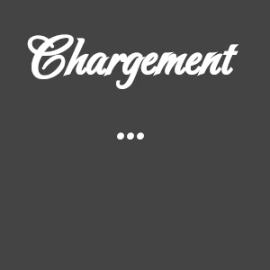 Chargement de la galerie en cours ...